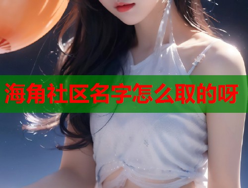 海角社区名字怎么取的呀