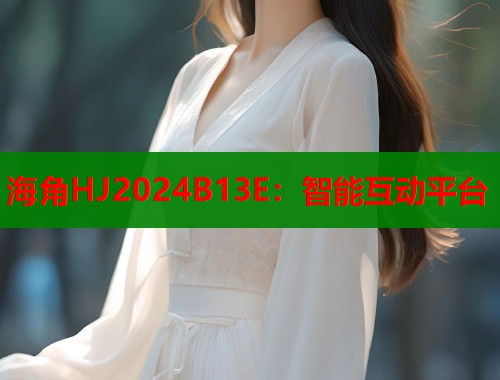 海角HJ2024B13E：智能互动平台  第2张