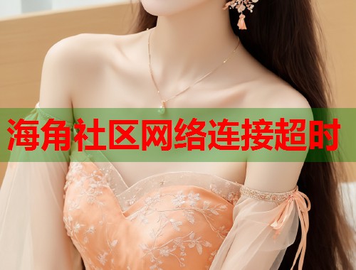 海角社区网络连接超时