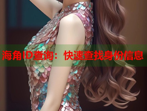 海角ID查询：快速查找身份信息