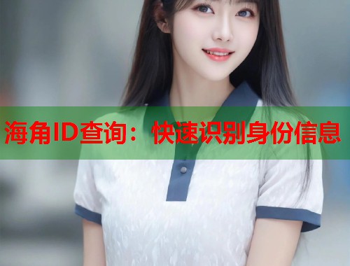海角ID查询：快速识别身份信息  第1张