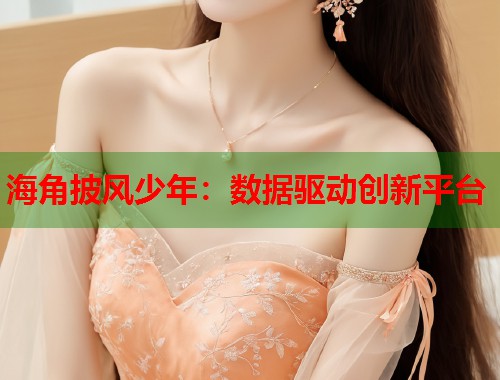 海角披风少年：数据驱动创新平台
