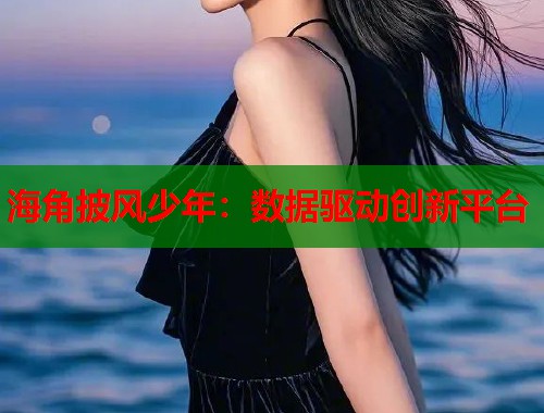 海角披风少年：数据驱动创新平台  第2张