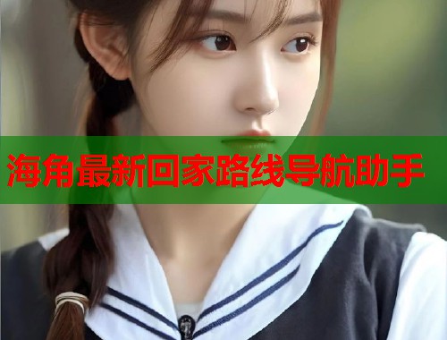 海角最新回家路线导航助手  第1张