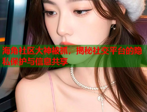 海角社区大神被抓，揭秘社交平台的隐私保护与信息共享  第2张