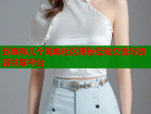 到底有几个海角社区揭秘互动交流与资源共享平台  第2张