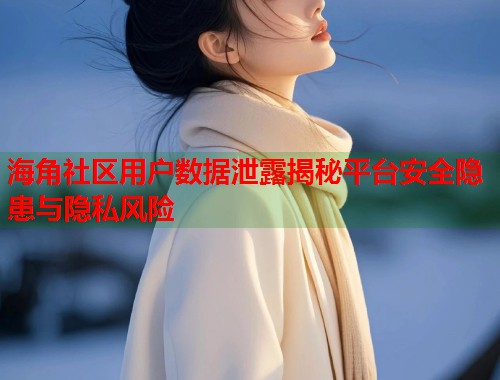 海角社区用户数据泄露揭秘平台安全隐患与隐私风险